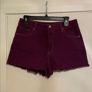 PacSun High Waist Festival Plum Purple Shorts